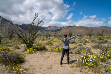 Woman stands in Anza Borrego Desert State Park, facing mountains, in a field of desert wildflowers during super bloom