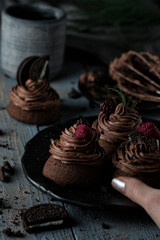 Woman hand holding cupcake