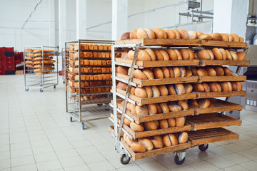 Tray with fresh brown bread at the bakery.