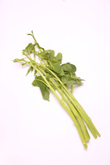 Obraz premium パック・ブン・タイ・ナーム 