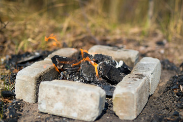 the home for the picnic