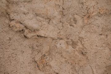 textura pared