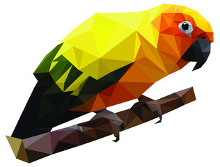 Colorfull Parrot Triangle Illustration