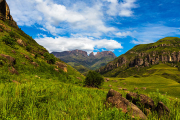 Fototapeta premium Green grass on mountain