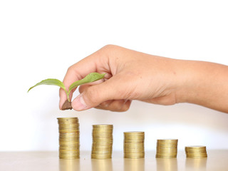 Human hand holding plant stacking on coin stack, Invest your money to get in come,growing business and future concept