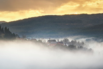 Foggy morning