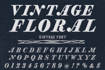 Font alphabet Script Typeface handcrafted handwritten vector label design old style.Shadow Effect.vintage Hand Drawn