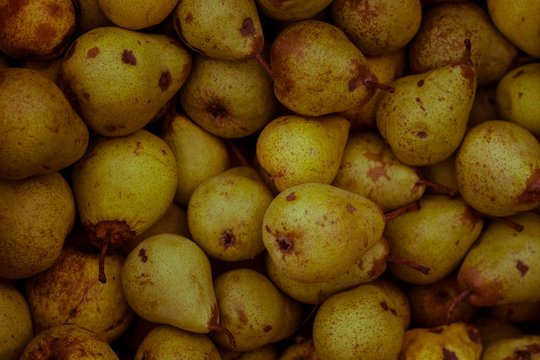 fresh pears