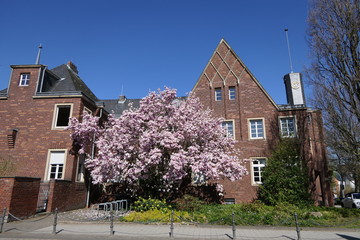 Rathaus Brauweiler