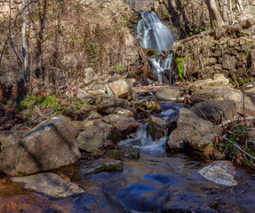 Bosque húmedo mediterráneo
