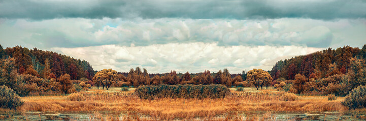 summer swampy forest landscape with cloudy sky