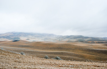 Winter landscape, mountains in the fog, the grass covered with frost