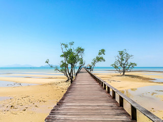 wooden bridge to the sea in Thailand