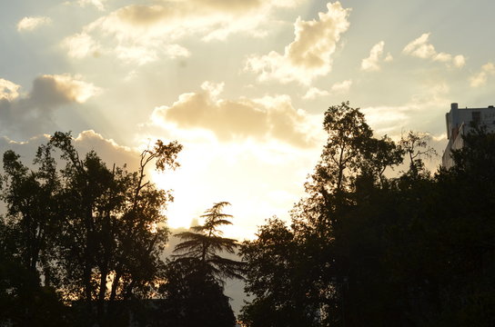 atardece en la plaza