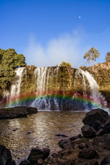 Lily waterfall