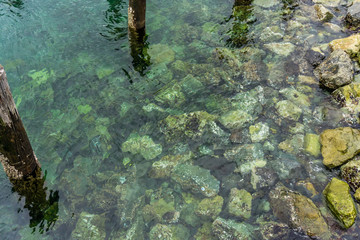 Underwater Shoreline Rocks