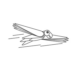 parrot bird animal flying isolated icon