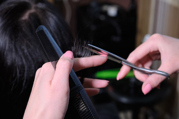 Hairdresser makes a hairstyle brunette  girl  in a beauty salon with scissors and comb .