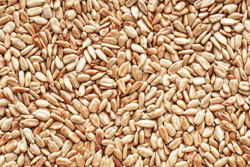Natural shelled sunflower seeds. background fried grains.