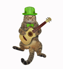 The cat in a green hat and a bow tie is playing the acoustic guitar. White background. Isolated.