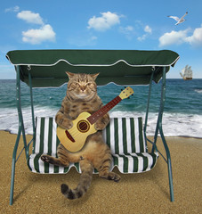 The cat musician with a acoustic guitar is sitting on a swing bench on the beach. © iridi66