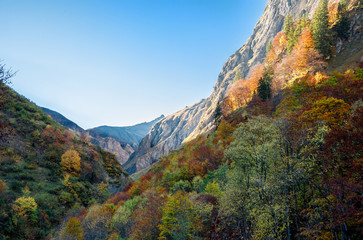 Heilbronner Weg Abstieg Herbst farben Allg&auml;u