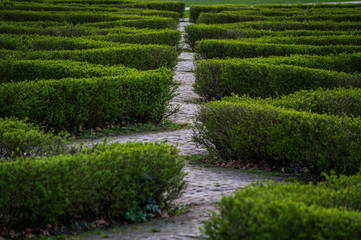 Straight through path through the grass labyrinth symbol of short cut or quick and short route  