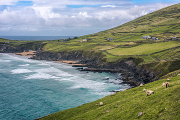 Scenic beach and rural landscape at Slea Head, Dingle Peninsula, County Kerry, Ireland