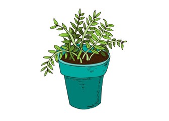 Beans flower pot in hand drawn style