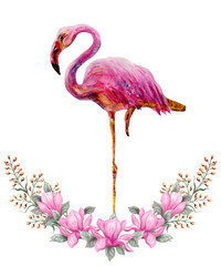Pink flamingos stands in floral ornament of magnolia flowers isolated on white background. Hand drawn painting watercolor paints.