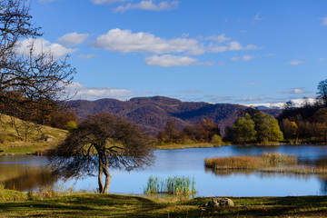 Fototapeta na wymiar Beautiful landscape with lake and alone tree, Armenia