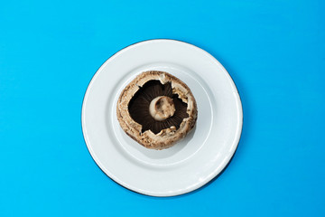 Portobello mushroom  on colorful background