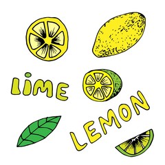 Lemon and lime icons set in hand drawn style