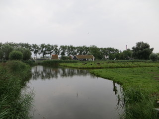 Fototapeta na wymiar house on the river