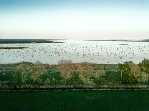Vogelschutzinsel Kirr