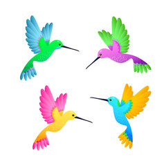 Colorful hummingbird set. Cute little birds with bright feathers. Can be used for topics like nature, ornithology, exotic birds
