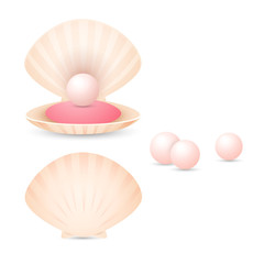 Light pink pearl in shell. Open and closed seashells with small pearls. Can be used for topics like jewelry, fashion, treasure