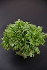 bunch of parsley