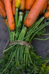 Bunch of fresh organic carrots at market.