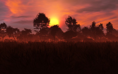 Fototapeta na wymiar concept art of fantasy countryside landscape with majestic sunset 