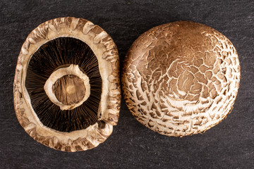 Group of two whole raw fresh brown mushroom portobello ventral view flatlay on grey stone