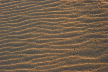 ripples in the sand