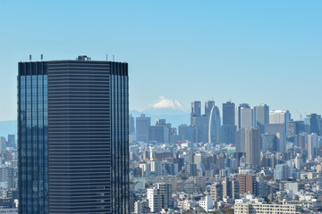 Tokyo Skyline and Mt Fuji