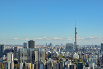 Obraz premium Tokyo Skyline - Skytree