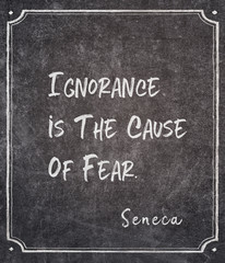 cause of fear Seneca quote