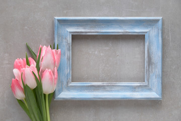 Empty blue rustic wooden frame with stripy white and pink tulips, space for your text