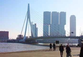 Photo sur Plexiglas Pont Érasme Le célèbre pont Erasmus au milieu de la brume un jour de fin d& 39 automne à Rotterdam, Hollande, Pays-Bas