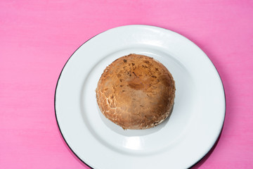 Portobello mushroom  on colorful background
