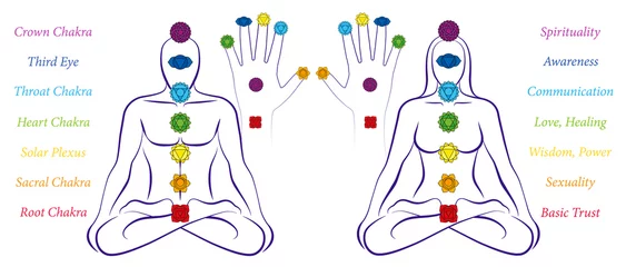 Muurstickers Body and hand chakras of a man and woman - Illustration of a meditating couple in yoga position with the seven main chakras and their names. © Peter Hermes Furian
