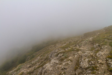 fog in the mountains